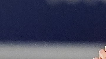 Aaron Judge ganó el MVP de la Liga Americana.