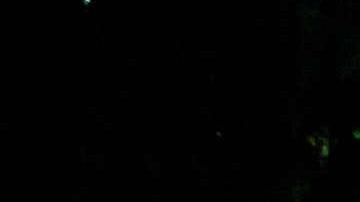 Una persona sin hogar empuja un carrito de compras el martes 7 de octubre de 2025 en Portland, Oregón.