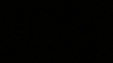 El alcalde electo de Nueva York, Zohran Mamdani, rodeado de su equipo de campaña.