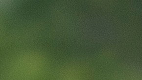 Dos funcionarios y exfuncionarios confirmaron la información.