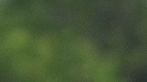 Dos funcionarios y exfuncionarios confirmaron la información.