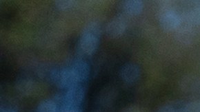 Juramentación de Adelita Grijalva en la Cámara