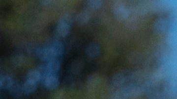 Juramentación de Adelita Grijalva en la Cámara