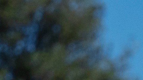 Juramentación de Adelita Grijalva en la Cámara