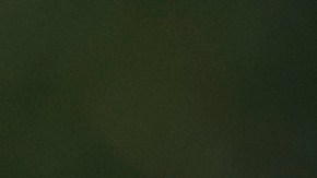 La congresista electa Adelita Grijalva, demócrata por Arizona, habla rodeada de simpatizantes.