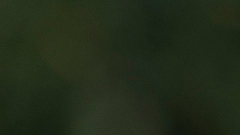 La congresista electa Adelita Grijalva, demócrata por Arizona, habla rodeada de simpatizantes.