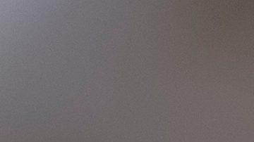 Dick Durbin dijo que Schumer posiblemente no habría podido detener el acuerdo, aunque hubiese querido, dada la independencia de los senadores demócratas.