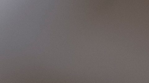 Dick Durbin dijo que Schumer posiblemente no habría podido detener el acuerdo, aunque hubiese querido, dada la independencia de los senadores demócratas.