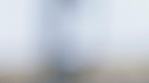 New York Jets cambiaron a Sauce Gardner y a Quinnen Williams por altas selecciones de primera ronda del Draft