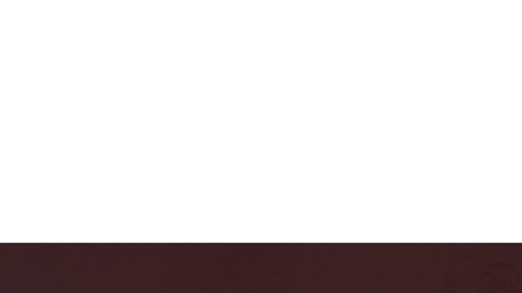 Abordaron las responsabilidades de asumir un papel como este a temprana edad.