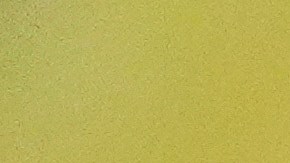 Votantes en elecciones generales de NY - 2025