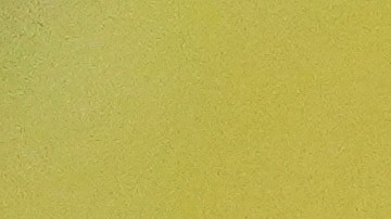 Votantes en elecciones generales de NY - 2025