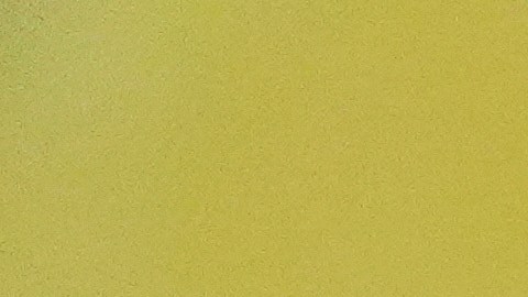 Votantes en elecciones generales de NY - 2025