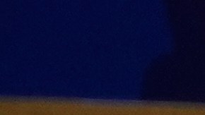 Trump pronuncia un discurso en un almuerzo de directores ejecutivos de la Cooperación Económica Asia-Pacífico (APEC).