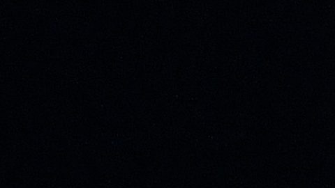 El base de los Memphis Grizzlies, Ja Morant (12), juega en la primera mitad de un partido de baloncesto de la NBA Cup contra Los Angeles Lakers el viernes 31 de octubre de 2025 en Memphis, Tennessee.