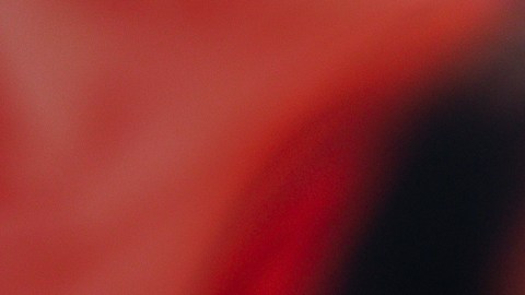 Ciattarelli ha propuesto abordar el alto coste de vida mediante recortes a los impuestos a la propiedad y una línea dura en inmigración.