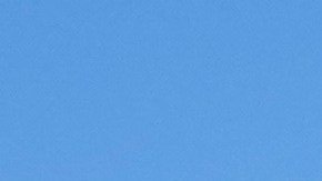 La agencia señaló que estos migrantes han aprovechado las "políticas santuario".