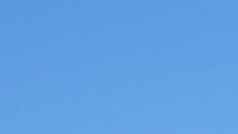 La agencia señaló que estos migrantes han aprovechado las "políticas santuario".