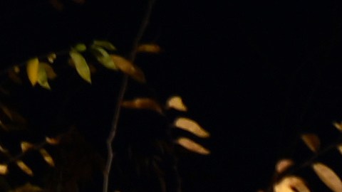 Un mensaje del Centro Nacional de Derecho de la Mujer sobre el anuncio del gobierno de Trump de restablecer solo la mitad de la financiación de los beneficios del SNAP.