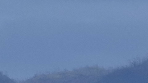 Economías locales sufrieron severos daños tras el huracán.