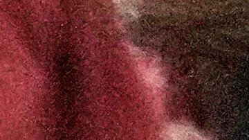 Una persona se prepara para votar en un centro de votación en Nueva York, el martes 4 de noviembre de 2025.