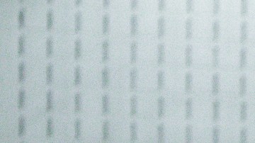 Votantes en Nueva York el 4 de noviembre