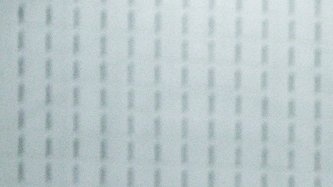 Votantes en Nueva York el 4 de noviembre