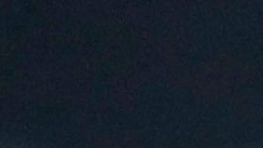 Dana White confirma la investigación del FBI por actividad sospechosa en las apuestas tras pelea de UFC