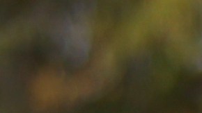 Zohran Mamdani en una conferencia en Queens, NY