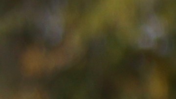 Zohran Mamdani en una conferencia en Queens, NY