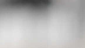 Los seis congresistas enfatizaban que los miembros de las fuerzas armadas deben "defender la Constitución" y "desobedecer órdenes ilegales".