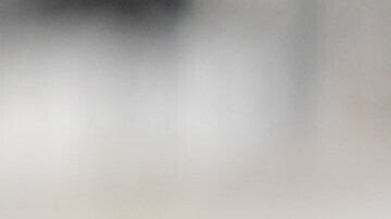 Los seis congresistas enfatizaban que los miembros de las fuerzas armadas deben "defender la Constitución" y "desobedecer órdenes ilegales".