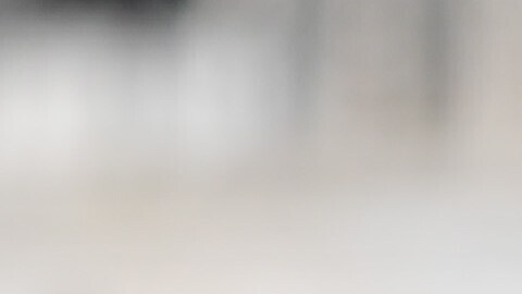 Los seis congresistas enfatizaban que los miembros de las fuerzas armadas deben "defender la Constitución" y "desobedecer órdenes ilegales".