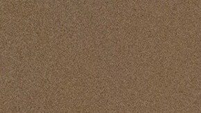 Zohran Mamdani y Nydia Velázquez en la conferencia SOMOS