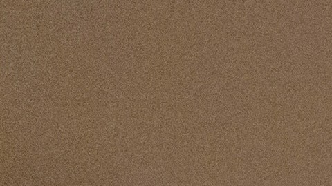 Zohran Mamdani y Nydia Velázquez en la conferencia SOMOS