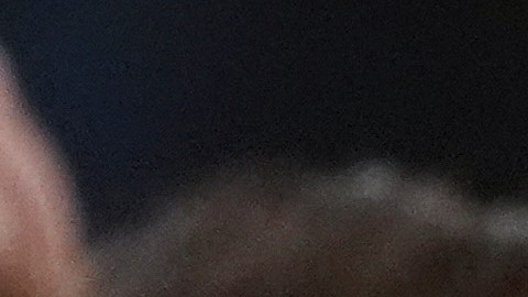 Donald Trump en reunión con líderes de Asia Central