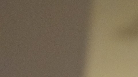 Thune ha advertido que no concluirá la sesión hasta que se consiga abrir el Gobierno.