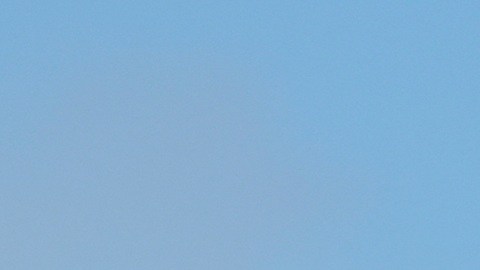 Trump enfrenta desaprobación de latinos.