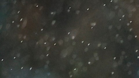 El Barcelona le habría pedido a Lewandowski no marcar tantos goles.