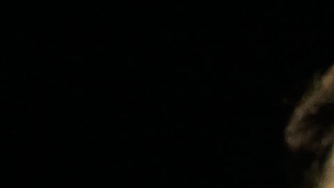 LaLiga denuncia cánticos racistas contra Lamine Yamal en el estadio del Celta