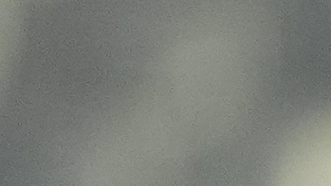 San Diego FC busca meterse en la final de conferencia en su primera temporada en la MLS.