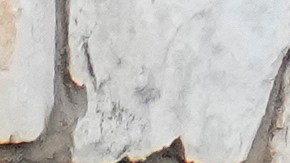 Las familias buscan una indemnización de al menos $1 millón de dólares.