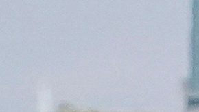 Trump dio instrucciones al DOJ para que investigue las relaciones entre Epstein y demócratas destacados.