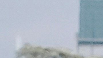 Trump dio instrucciones al DOJ para que investigue las relaciones entre Epstein y demócratas destacados.