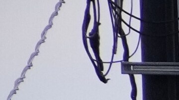 Participantes marchan en un desfile del Día de los Veteranos, el martes 11 de noviembre de 2025, en Media, Pensilvania.