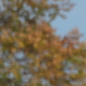 Un hombre se abriga mientras esquía en la nieve del lago Michigan durante un frío día en Chicago, el martes 11 de noviembre de 2025.
