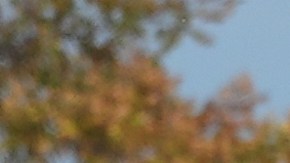 Un hombre se abriga mientras esquía en la nieve del lago Michigan durante un frío día en Chicago, el martes 11 de noviembre de 2025.