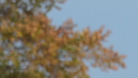 Un hombre se abriga mientras esquía en la nieve del lago Michigan durante un frío día en Chicago, el martes 11 de noviembre de 2025.
