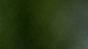 Banderas ondean al viento en el Cementerio Nacional Conmemorativo de Arizona el Día de los Veteranos, martes 11 de noviembre de 2025, en Phoenix.