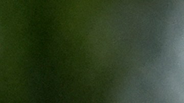 Banderas ondean al viento en el Cementerio Nacional Conmemorativo de Arizona el Día de los Veteranos, martes 11 de noviembre de 2025, en Phoenix.